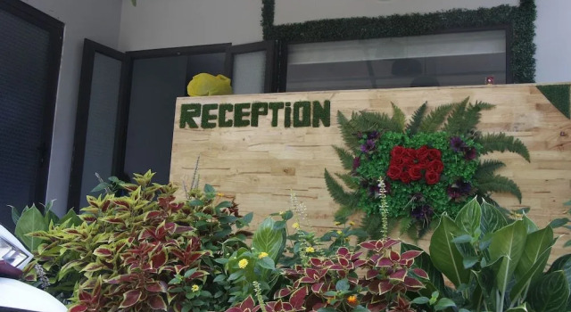 Pineapple Hotel