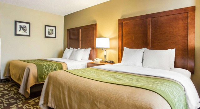 Четырёхместный люкс Comfort Inn & Suites Walterboro I-95