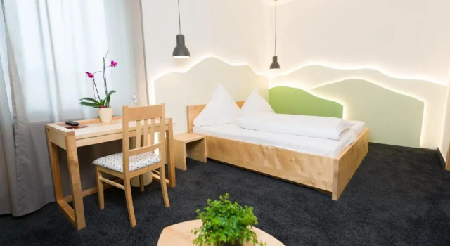 Superior single cameră Hotel Rhönhof
