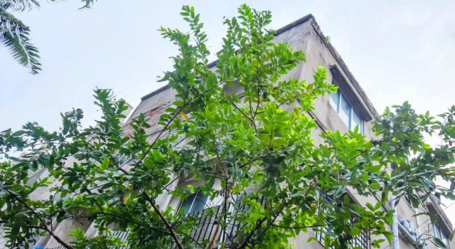 Quest Home Kalikapur Kolkata, Rezervovat Hotel Kalkata 