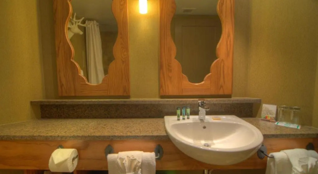 Номер Standard Banff Caribou Lodge and Spa