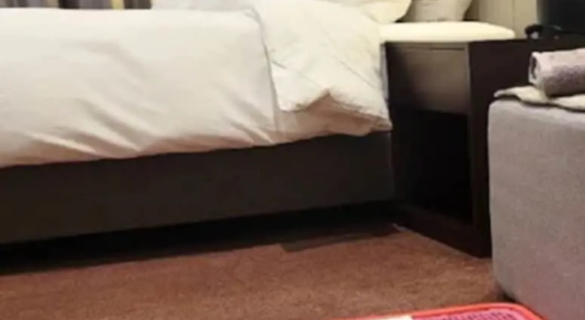 Двухместный номер Pet Friendly Ramada Hotel & Suites by Wyndham Gangwon Pyeongchang