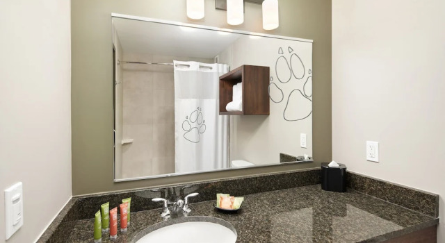 Люкс семейный Great Wolf Lodge Manteca