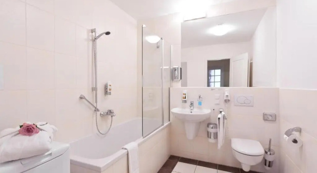 Трёхместная студия Standard Aparthotel Neumarkt