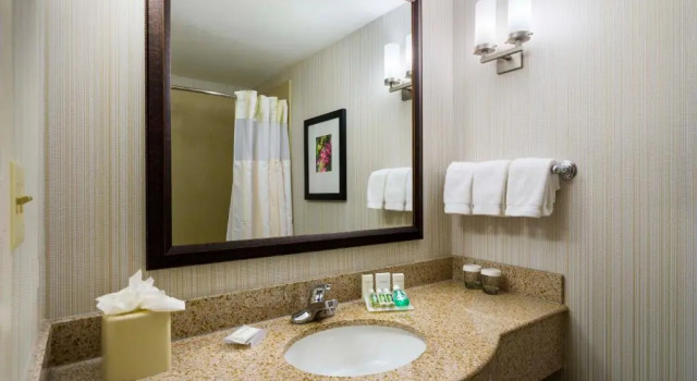 Четырёхместный номер Premium Hilton Garden Inn Queens JFK