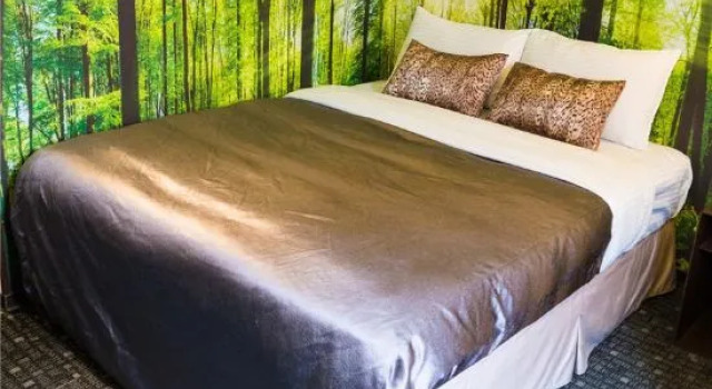 Номер Deluxe E-House Hotel