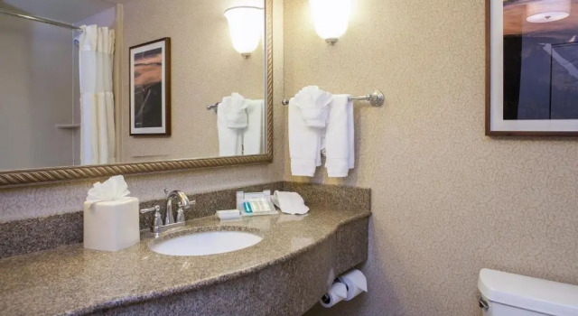 Номер Standard с видом на реку Hilton Garden Inn Boise / Eagle