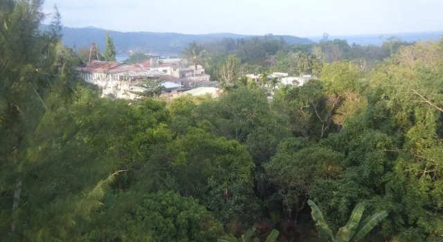Hotel Driftwood, Rezervovat Hotel Hotely v Andaman Islands se snídaní, Snídaně