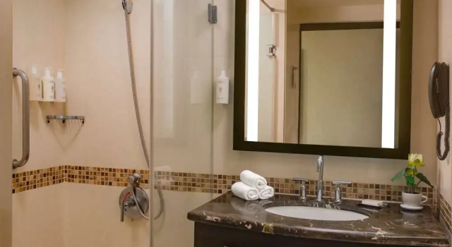 Номер Hampton by Hilton Vadodara-Alkapuri