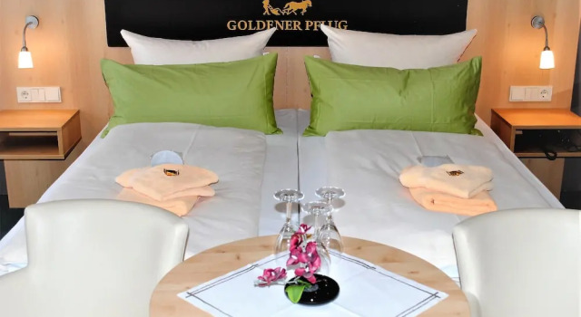 Двухместный номер Standard с балконом Landgasthof Goldener Pflug