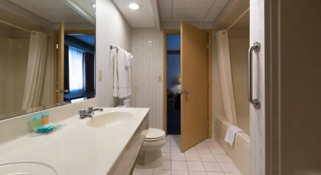 Люкс c 1 комнатой Villa Roma Resort and Conference Center