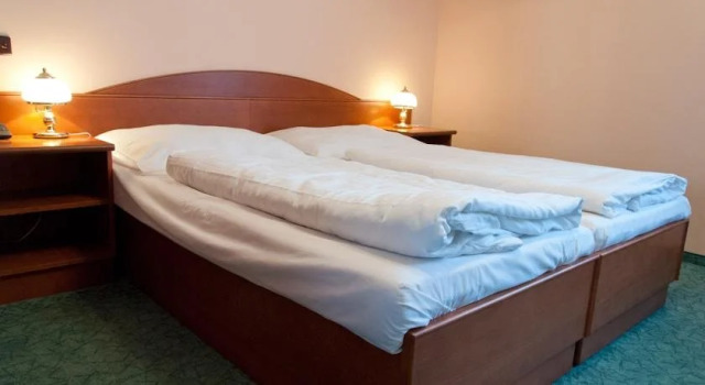 Penzion Harmonie, Book Hotel Chodov Krusne Hory Czech