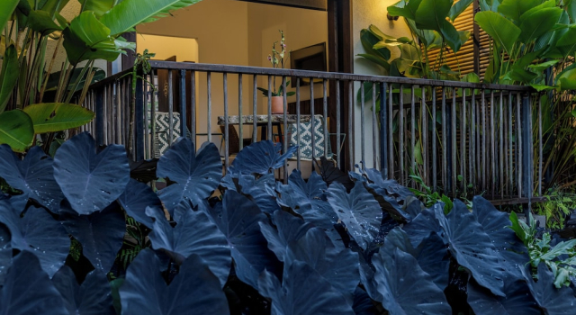 Люкс Deluxe Tukki Ecolodge Hotel