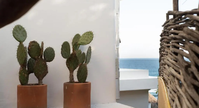 Junior suite El Alquimista Yoga Spa
