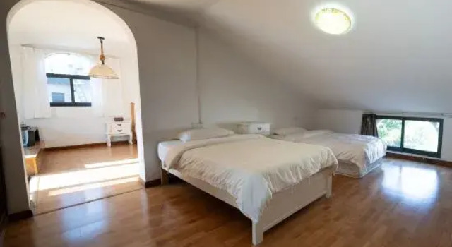Suite momo hotel