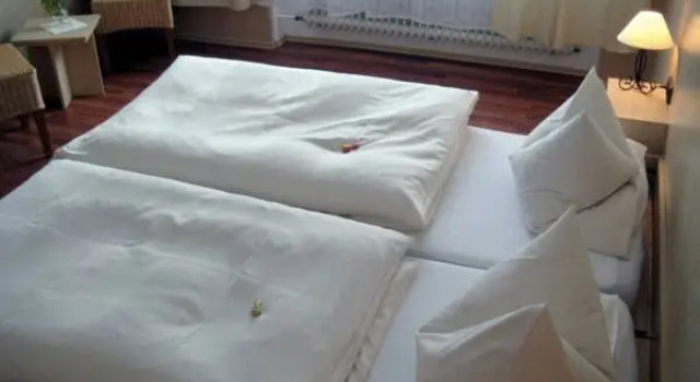 Номер Standard Hotel Lahnblick