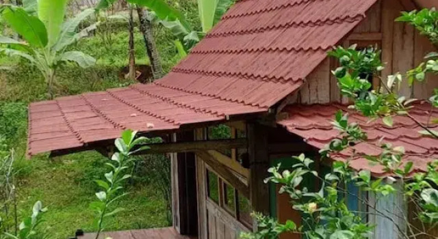 Homestay Ijen Lemonhouse