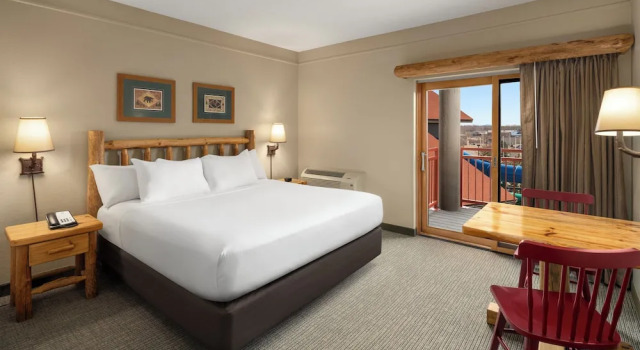 Одноместный люкс Great Wolf Lodge Sandusky OH