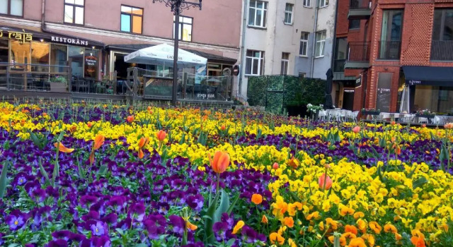 Апартаменты Deluxe La Boheme - the magic of past & present Riga free parking