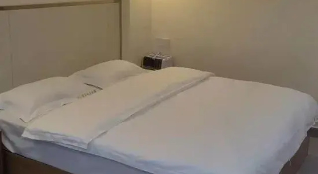Люкс CS Boutique Apartment
