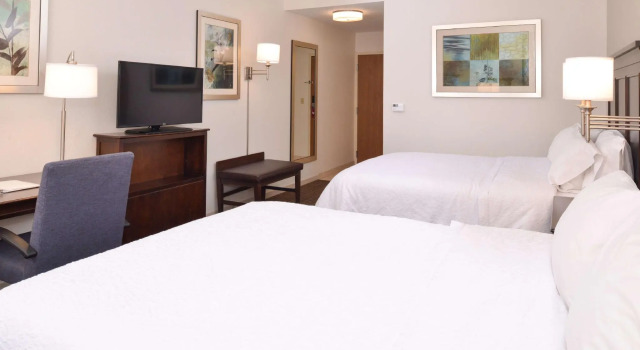 Четырёхместный номер Standard Hampton Inn & Suites Pueblo-Southgate