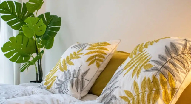 Beautiful And Cosy 1 Bed Flat in Stoke Newington