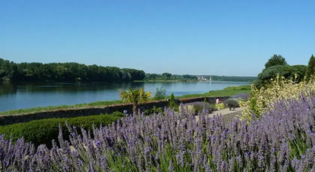 Gîte La Pointerolle, Rezerwuj Apartament  