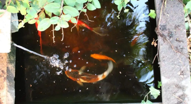 Коттедж Residence Villa Cicogna