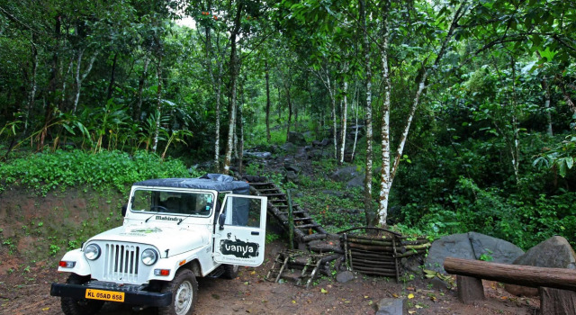 Vanya Tree House