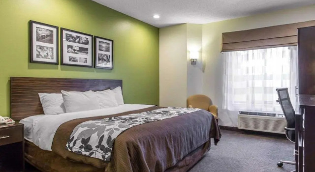 Номер Standard Sleep Inn Columbia