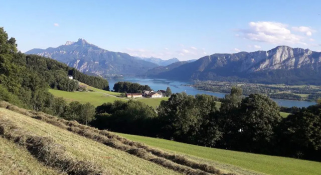 Апартаменты Panoramahof Manzberg
