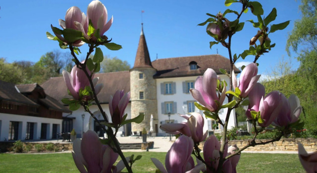 Château Salavaux, Забронировать Отель Бельрив Lake Murten