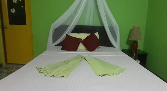 Номер Standard Green Bamboo House