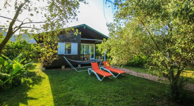 Бунгало Cirali Zakkum Bungalow