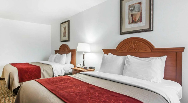 Четырёхместный номер Standard Comfort Inn Willow Springs US 60 and US 63