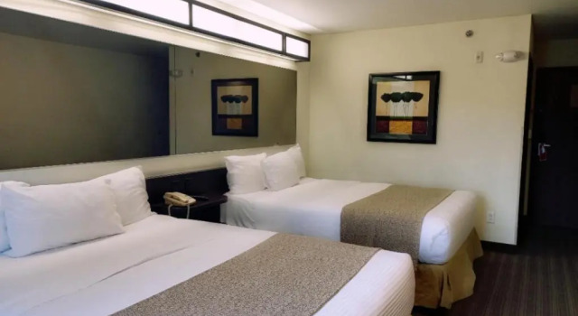 Четырёхместный номер Standard Microtel Inn and Suites by Wyndham Toluca