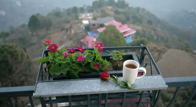Двухместный номер Luxury с балконом и с красивым видом из окна Astra Resort and Caffe Kasauli