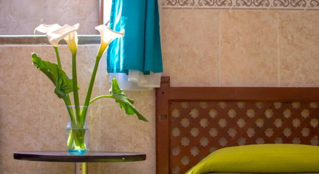 Номер Standard Casa Lupita Hostel