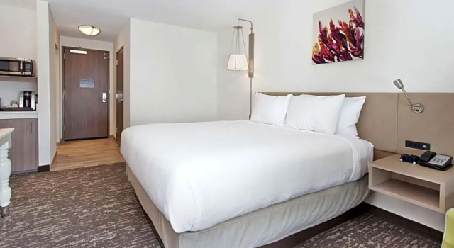 Двухместный люкс Hilton Garden Inn Montgomery - EastChase