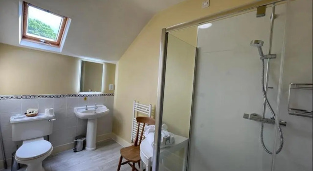 Standard- Enkelt på loftet værelse Roseleigh Guest House