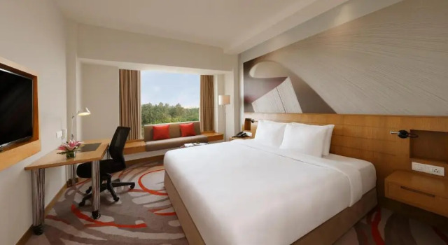 Двухместный номер Premier Novotel Hyderabad Convention Centre