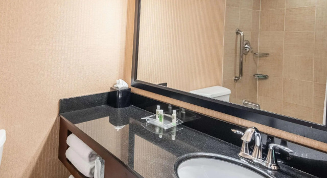 Четырёхместный номер Standard Holiday Inn Frisco by IHG