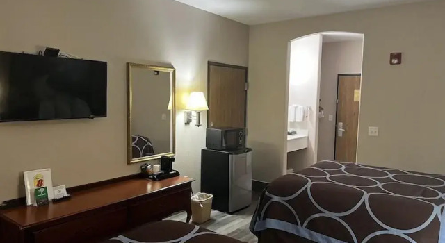 Номер Standard Hotel Piney Woods