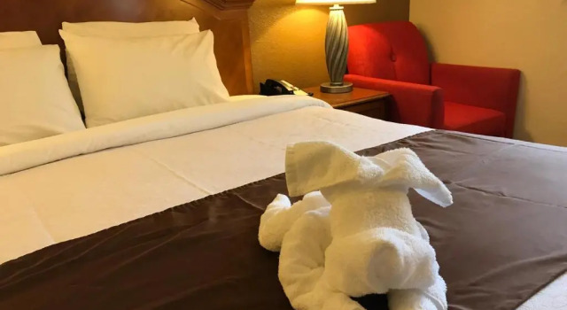 Четырёхместный номер Deluxe Americas Best Value Inn Lynnwood