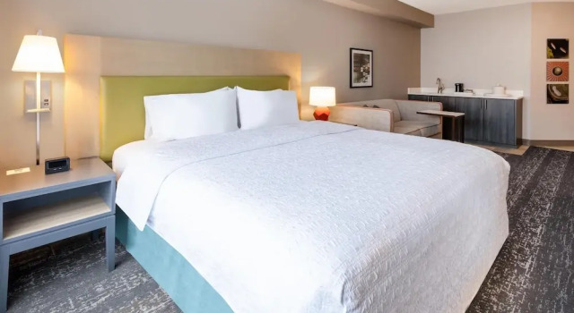 Двухместный люкс Wet Bar Hampton Inn & Suites By Hilton- Newark Airport Elizabeth