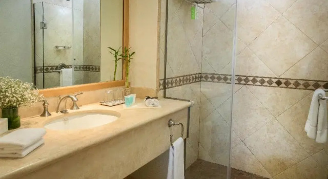 Двухместный номер Deluxe с балконом и с видом на гавань Hotel Tesoro Los Cabos