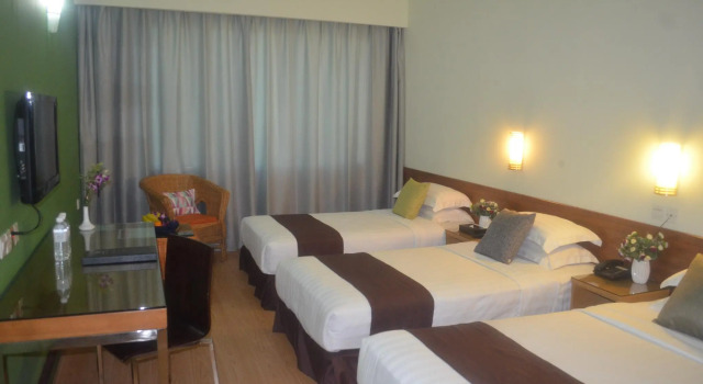 Трёхместный номер Deluxe Tang Dynasty Park Hotel
