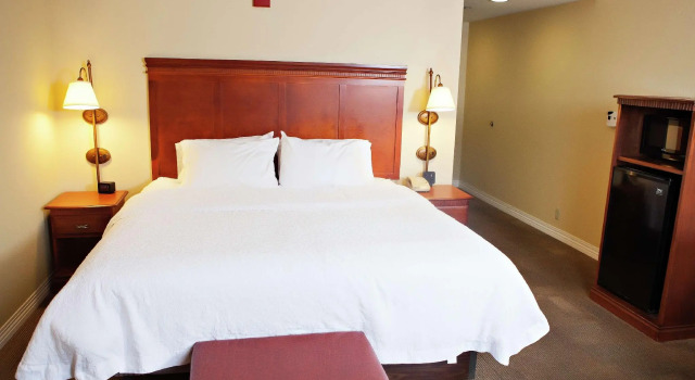 Standard Kahden hengen huone Hampton Inn Martin