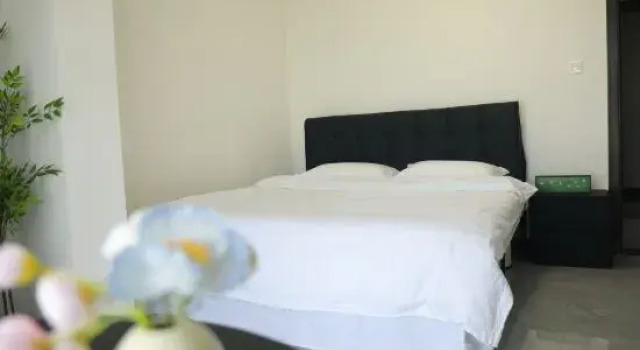 Люкс Mango Youth Hostel