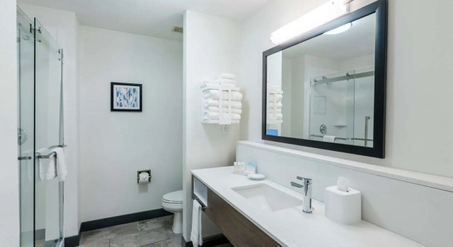 Двухместный номер Standard Hampton Inn & Suites Opelika-I-85 Auburn Area